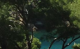 Les terrasses des Anthenors